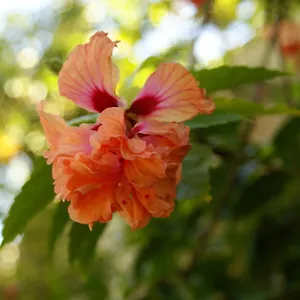 Guest house Casaluna, San Andres (San Andres and Providencia Islands)